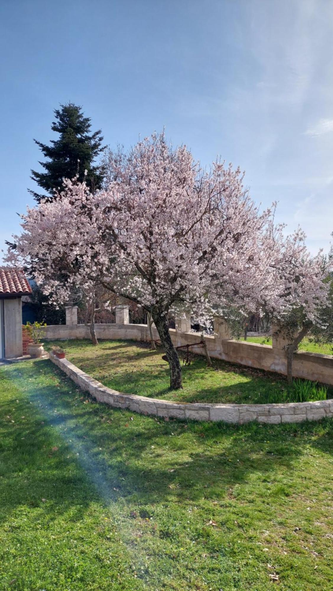 Casa Mandula Villa Rakotule Dış mekan fotoğraf